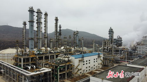 國內(nèi)首套20萬噸聚丙烯科技示范項目在中國華能華亭煤業(yè)公司投料一次成功