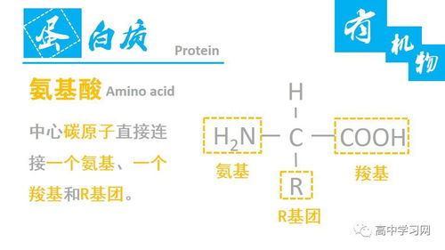高中生物中的無機物和有機物基礎(chǔ)知識梳理