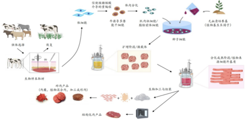 226起投融資、52個(gè)過億項(xiàng)目.食品飲料行業(yè)有哪些潛力賽道值得挖掘?