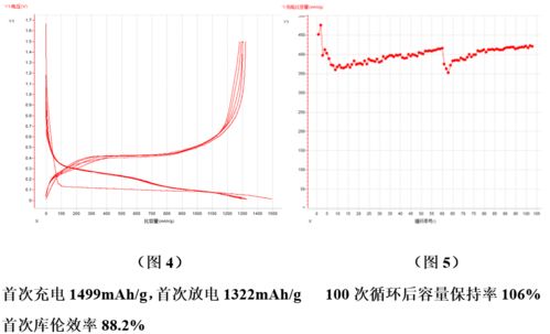 技術(shù)前沿│全球硅基負(fù)極材料專利數(shù)量已逾萬件，探尋生物硅負(fù)極材料的秘密